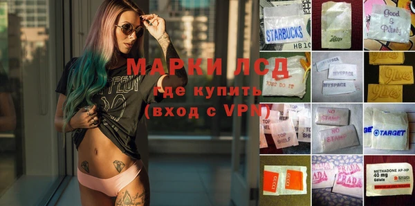 apvp Алексин
