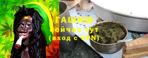 молекула духа Алзамай